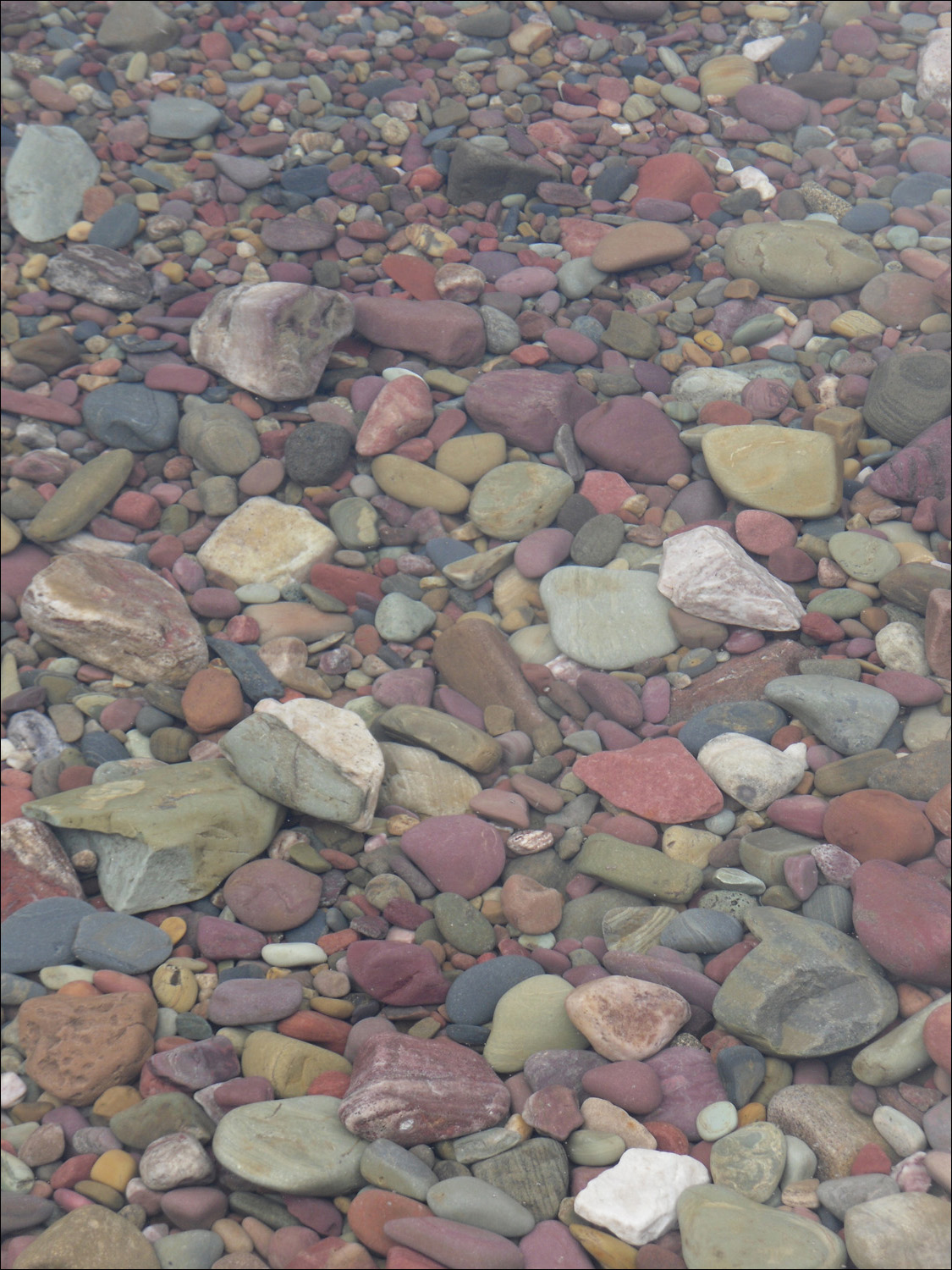 Glacier National Park- Rocks in Lake McDonald